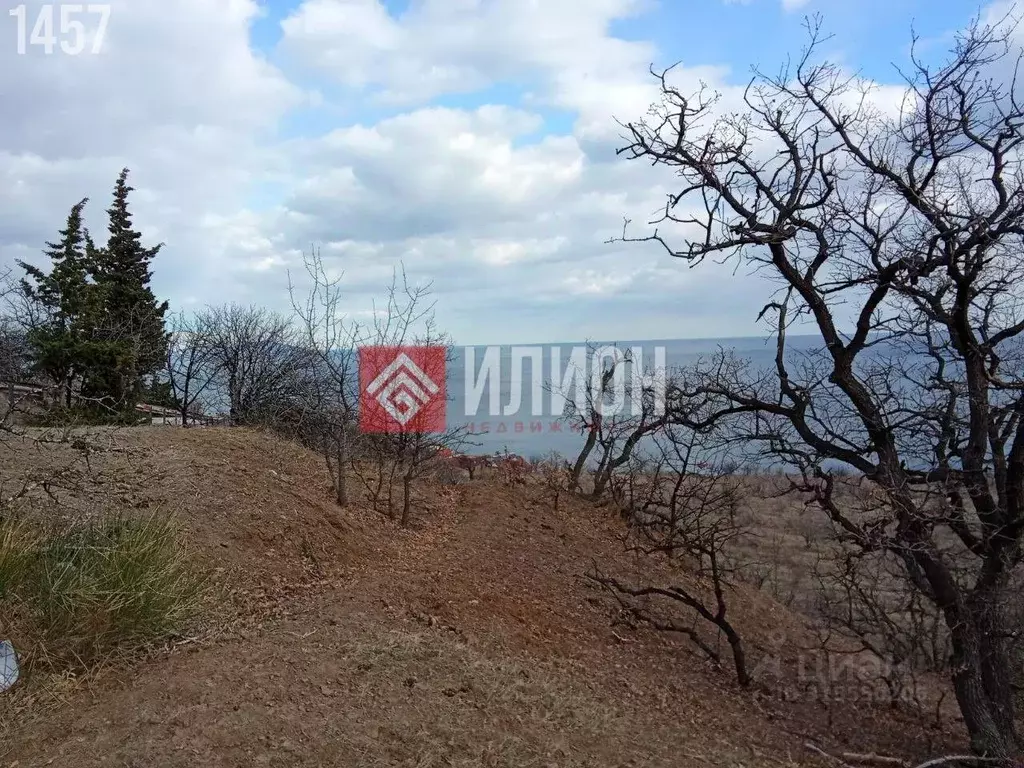 Участок в Крым, Алушта городской округ, с. Приветное ул. Парниковая ... - Фото 0