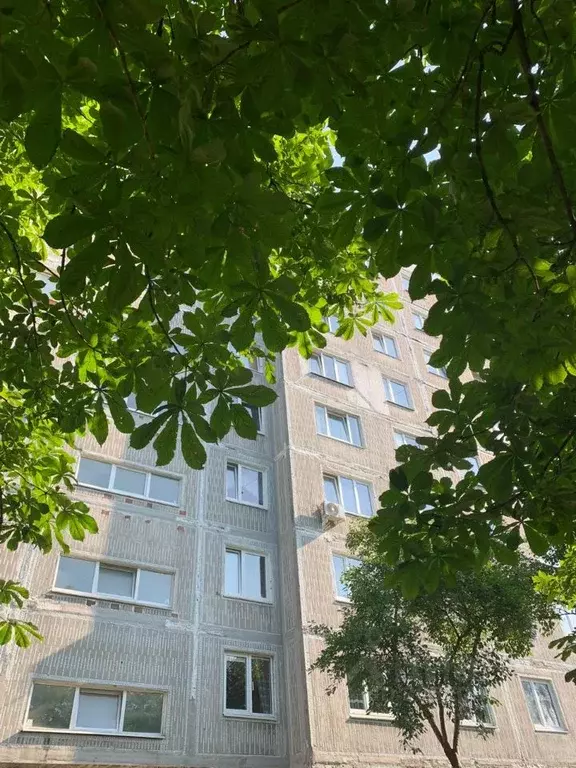 2-к кв. Калининградская область, Калининград Зеленая ул., 23 (55.0 м) - Фото 2