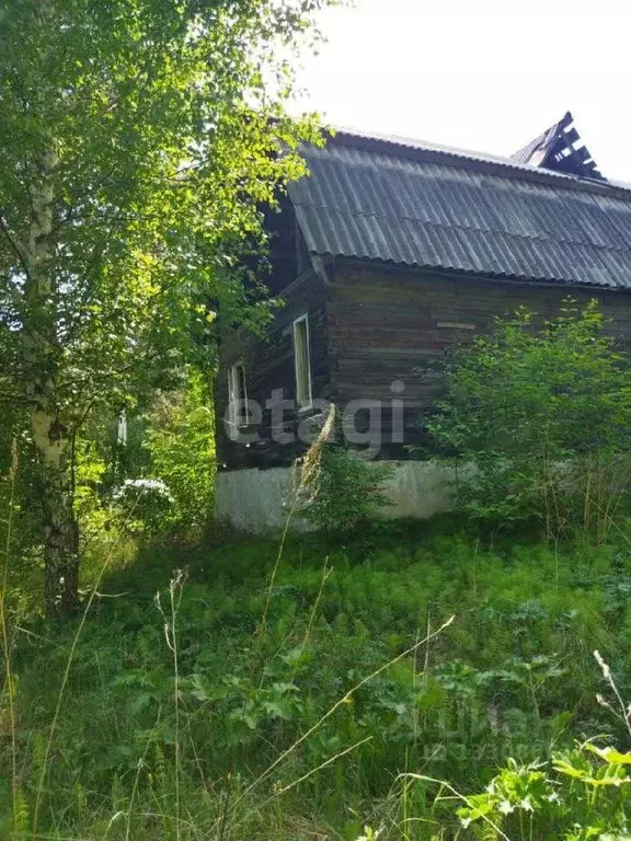 Участок в Томская область, Томск Лесопитомник ДНП, ул. Тогучинская ... - Фото 1