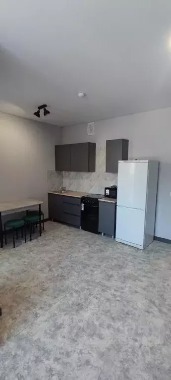 1-к кв. Красноярский край, Красноярск Норильская ул., 58 (29.0 м) - Фото 1