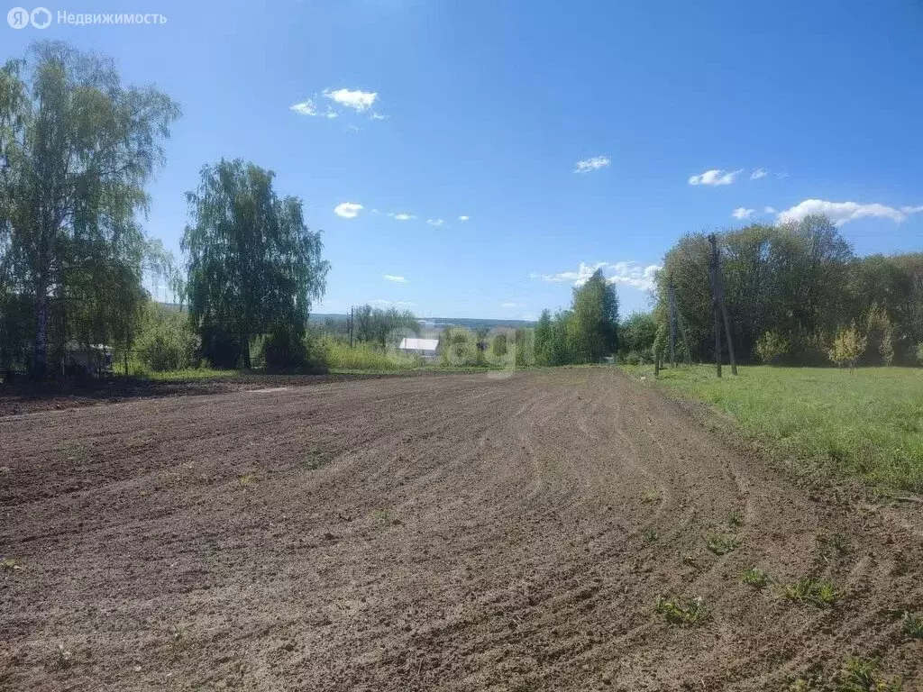 Участок в Нижегородская область, городской округ Арзамас, село Чернуха ... - Фото 0