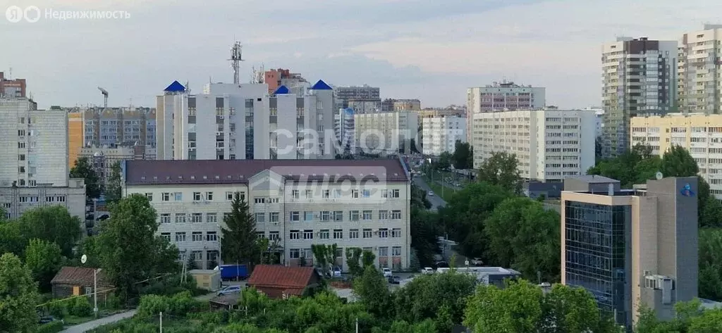 Офис (30 м) - Фото 2