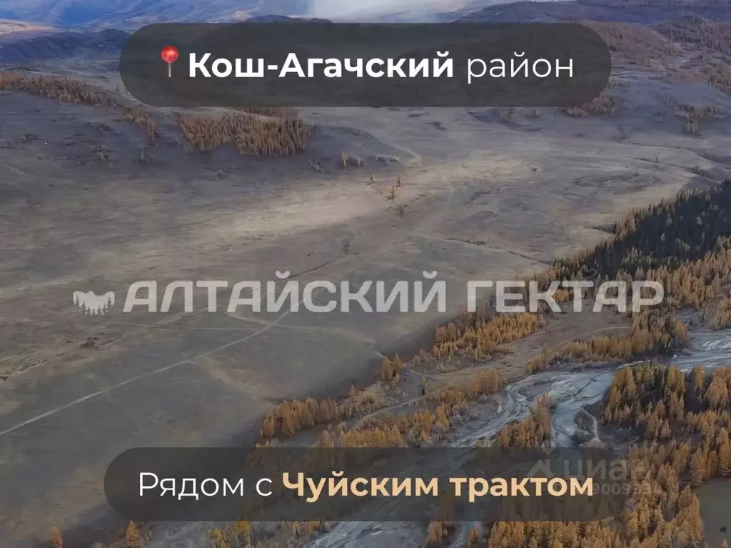 Участок в Алтай, Кош-Агачский район, с. Курай Зеленая ул., 44 (3000.0 ... - Фото 1