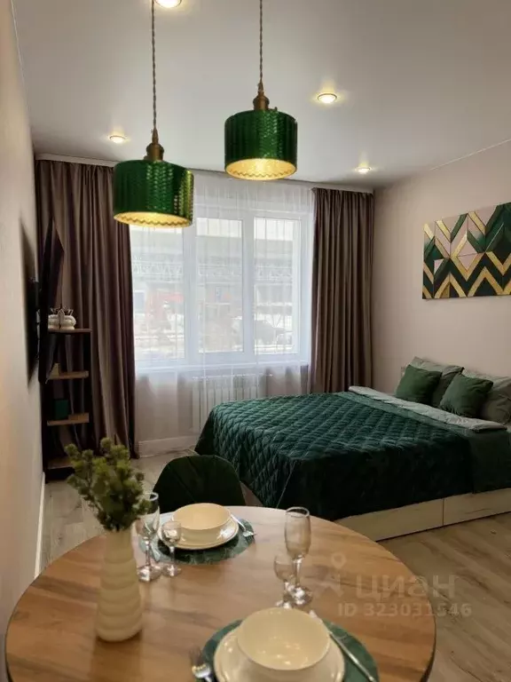 1-к кв. Сахалинская область, Южно-Сахалинск Больничная ул., 2к7 (27.0 ... - Фото 1