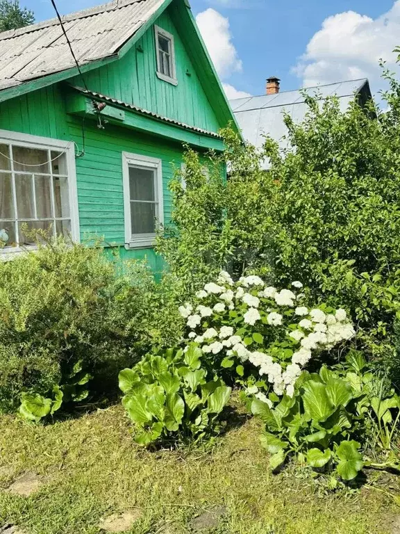 Дом в Тверская область, Тверь Заря СНТ, 37 (30 м) - Фото 1