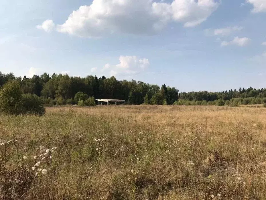 Участок в Московская область, Мытищи городской округ, д. Бяконтово  ... - Фото 2