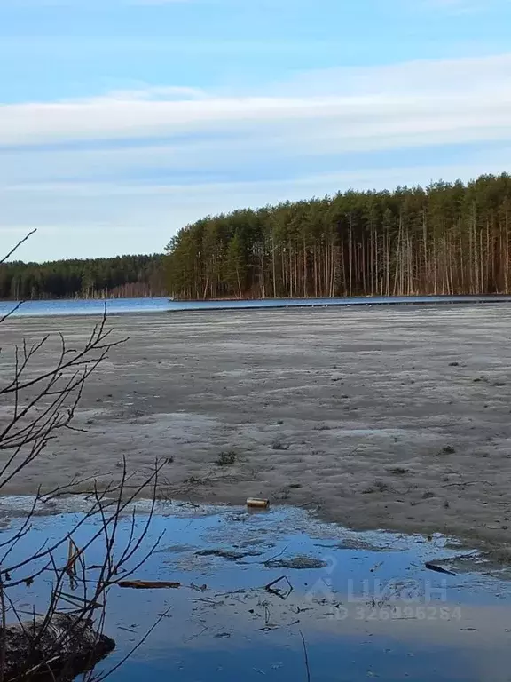 Участок в Ленинградская область, Всеволожский район, Токсовское ... - Фото 2
