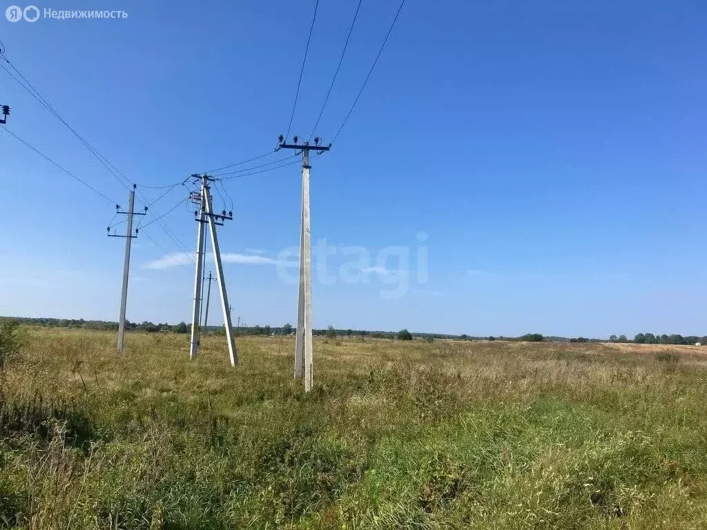 Участок в Калининградская область, Зеленоградский муниципальный округ, ... - Фото 0