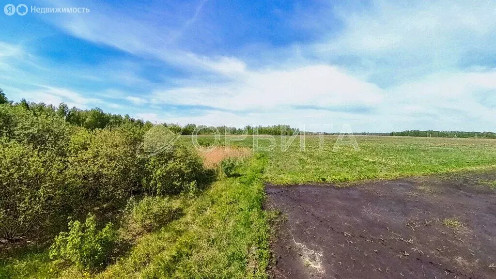 Участок в Тюменский район, село Горьковка (9 м) - Фото 1
