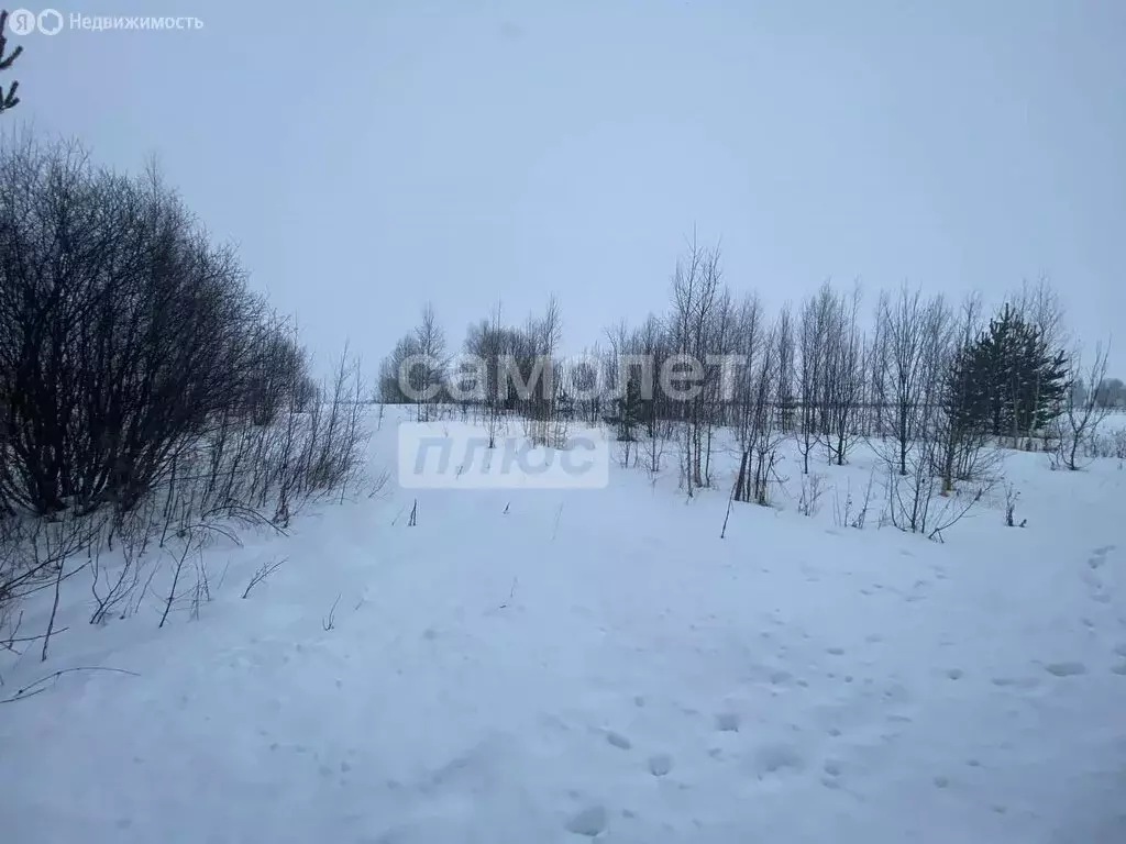 Участок в Медведевский район, городское поселение Краснооктябрьский, ... - Фото 1