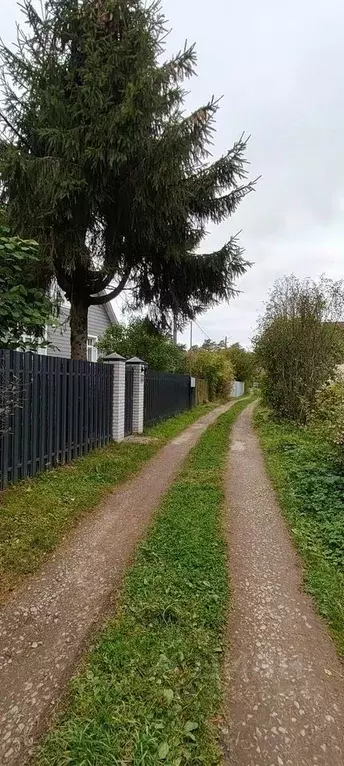 Участок в Ленинградская область, Ломоносовский район, Пениковское ... - Фото 1