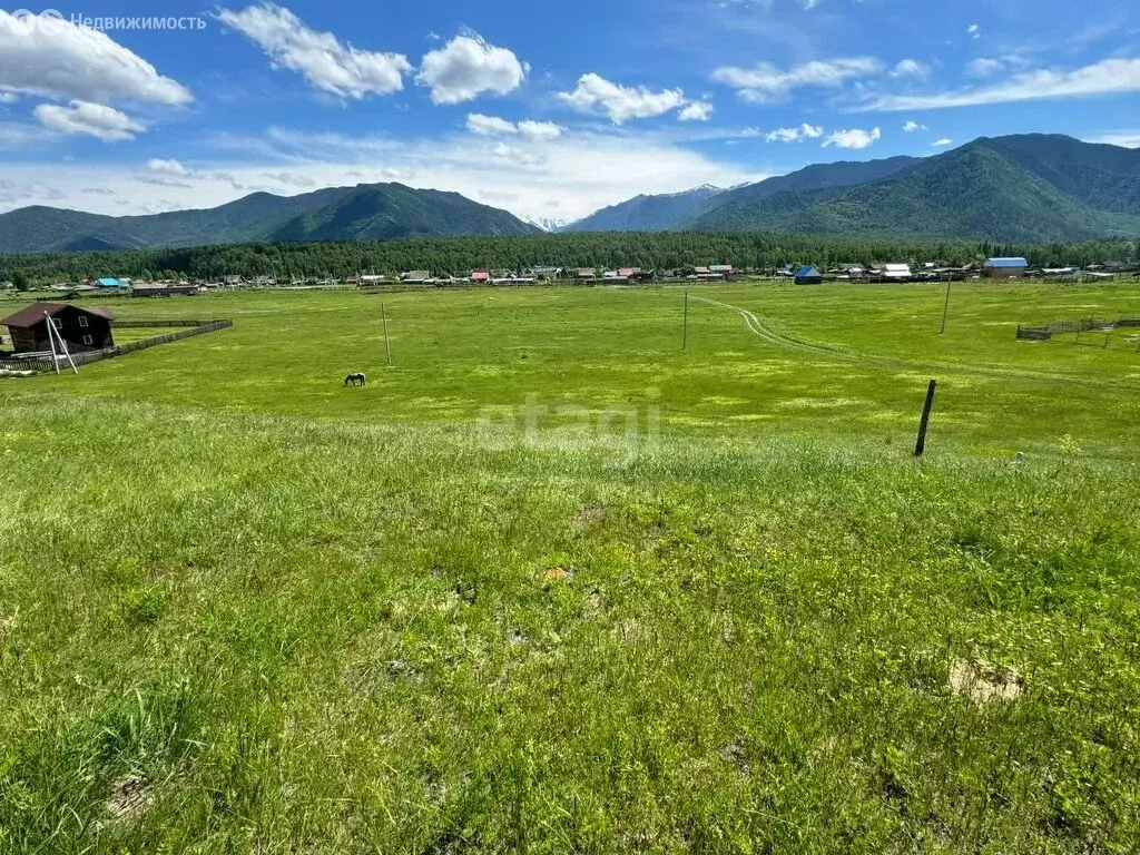 Участок в Усть-Коксинский район, село Тюнгур (15 м) - Фото 2