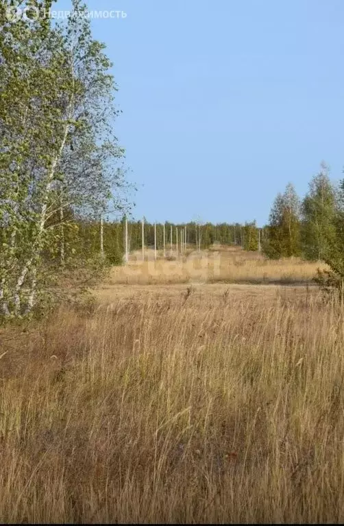 Участок в посёлок Уралец, Горнолыжная улица (12.1 м) - Фото 1