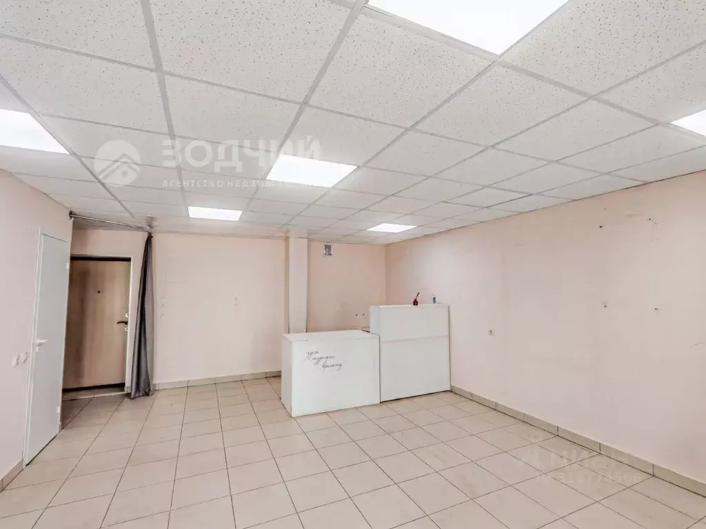 Торговая площадь в Чувашия, Канаш ул. Свободы, 11 (47 м) - Фото 1