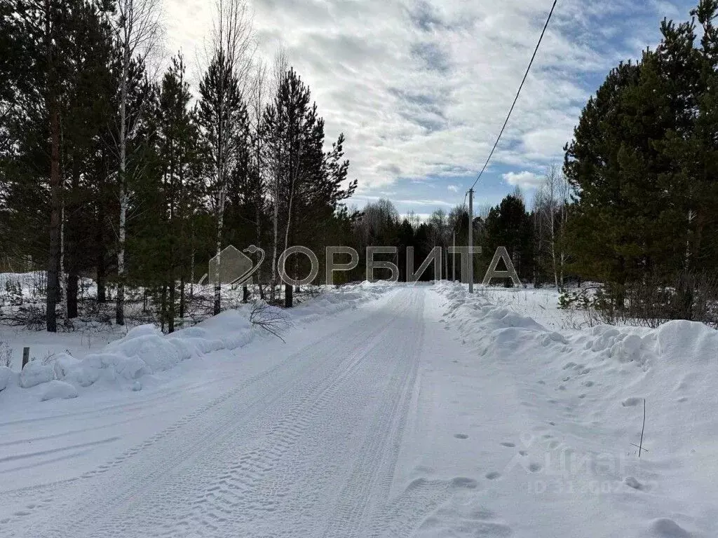 Участок в Тюменская область, Нижнетавдинский район, Сундукуль СНТ ул. ... - Фото 0