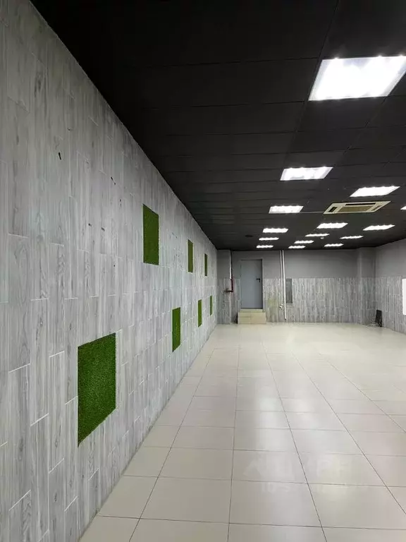 Торговая площадь в Хабаровский край, Хабаровск ул. Шелеста, 69 (40 м) - Фото 2