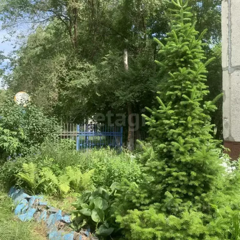 2-к кв. Кемеровская область, Кемерово ул. Ворошилова, 4 (45.5 м) - Фото 0