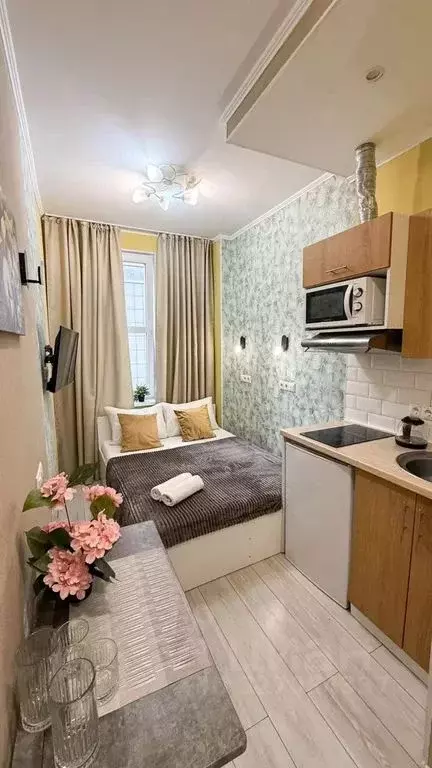 Студия Москва, Москва, Московский г. ул. Солнечная, 3Ас2 (17.0 м) - Фото 2