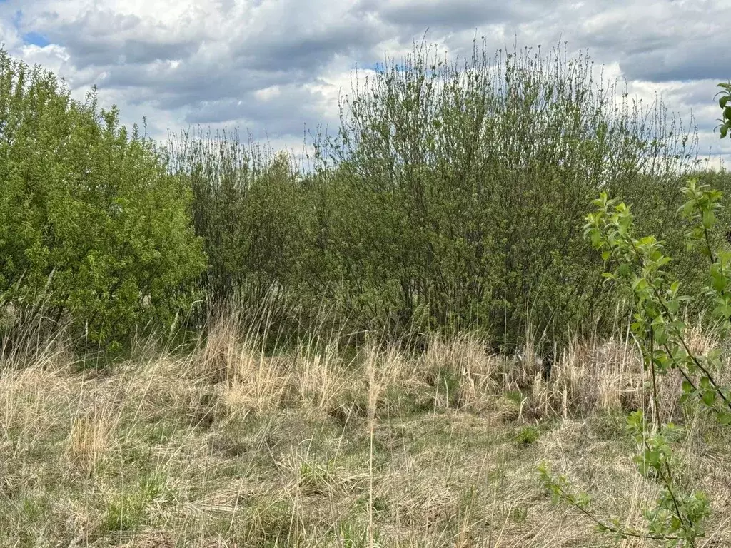 Участок в Московская область, Богородский городской округ, д. Старые ... - Фото 0