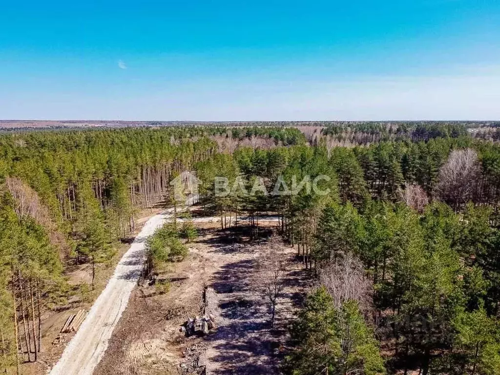 Участок в Владимирская область, Судогодский район, Вяткинское ... - Фото 0