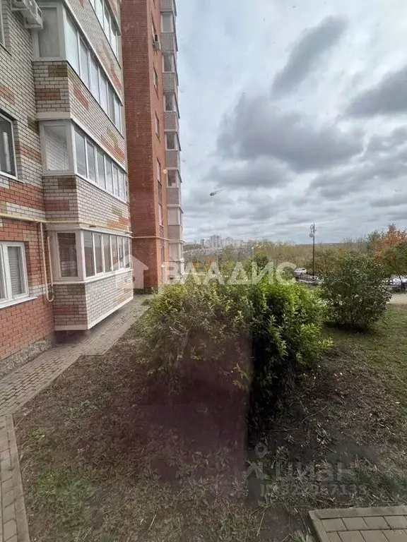 1-к кв. Белгородская область, Белгород Молодежная ул., 17 (37.7 м) - Фото 1