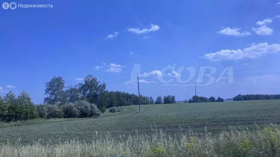 Участок в Тюменская область, Исетский муниципальный округ, село ... - Фото 1