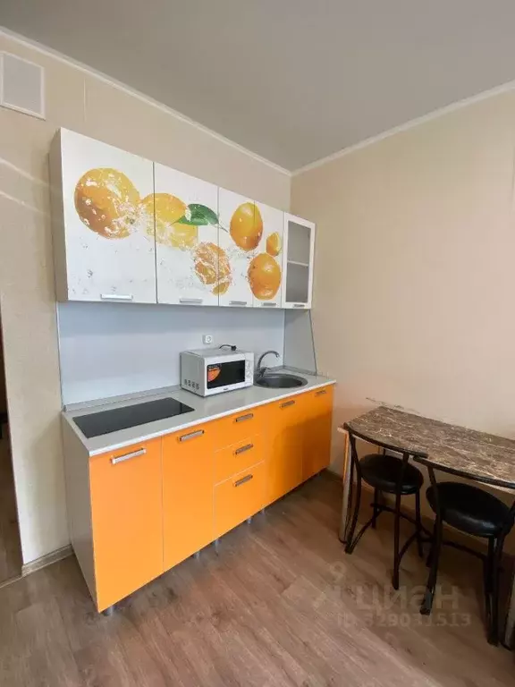 Студия Пензенская область, Пензенский район, Засечный сельсовет, с. ... - Фото 2