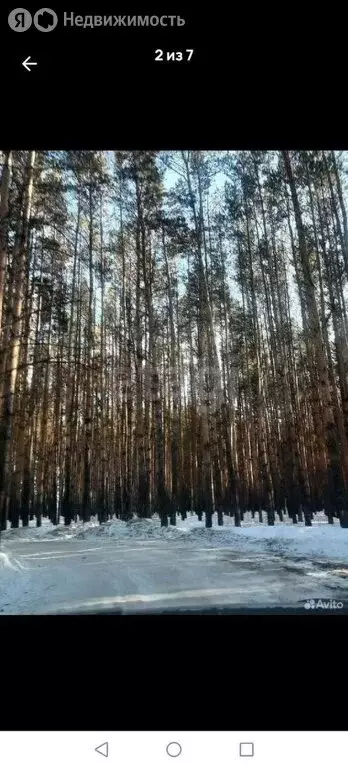 Участок в Курган, СНТ Солнечная Поляна (10 м) - Фото 2