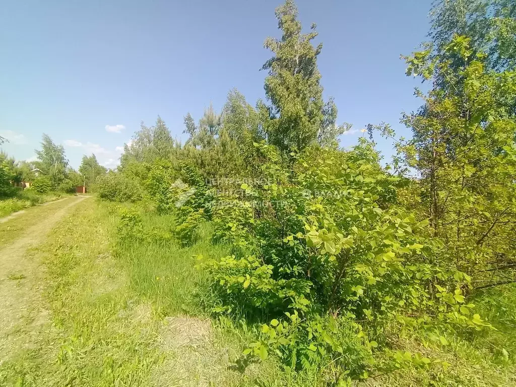 Участок в Рязанская область, Рязанский муниципальный округ, с. ... - Фото 2