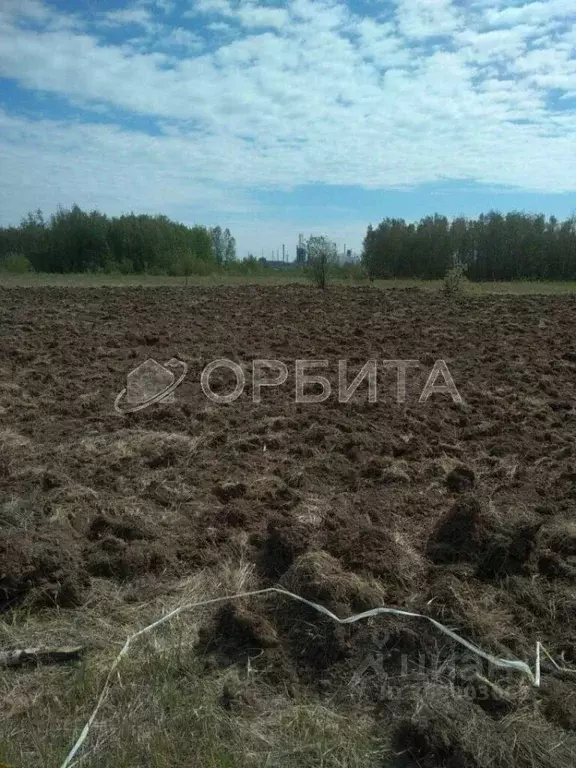 Участок в Тюменская область, Тюменский район, с. Ембаево  (13.0 сот.) - Фото 0