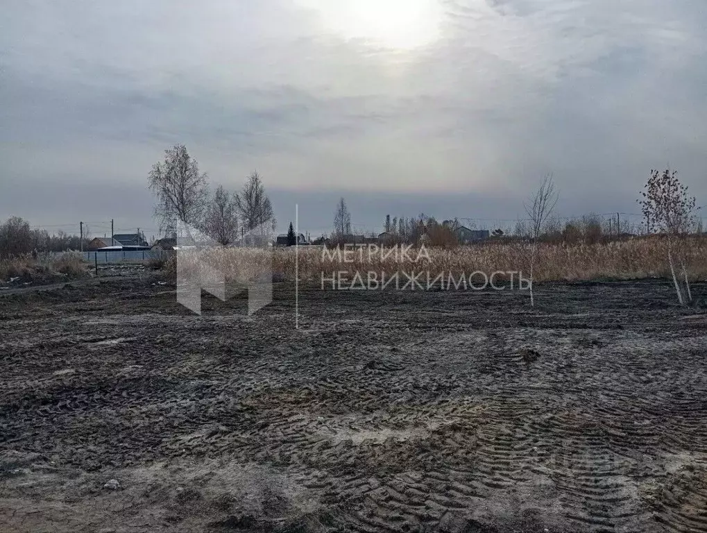 Участок в Тюменская область, Тюмень Садовое товарищество Липовый ... - Фото 1