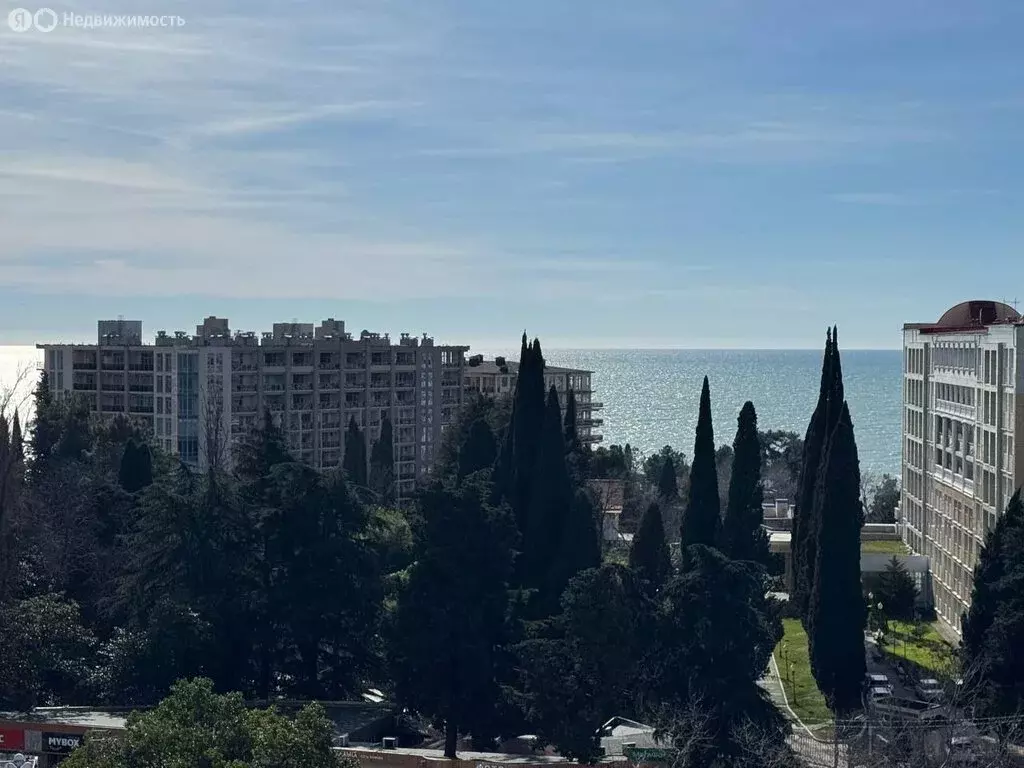 1-комнатная квартира: Сочи, микрорайон Светлана, Учительская улица, 10 ... - Фото 2