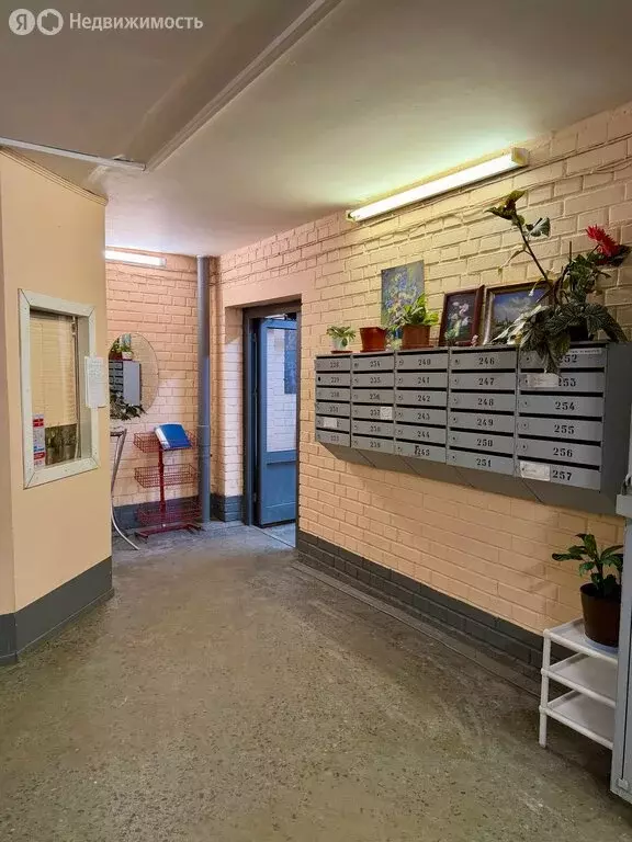 2-комнатная квартира: Санкт-Петербург, Комендантский проспект, 34к1 ... - Фото 2