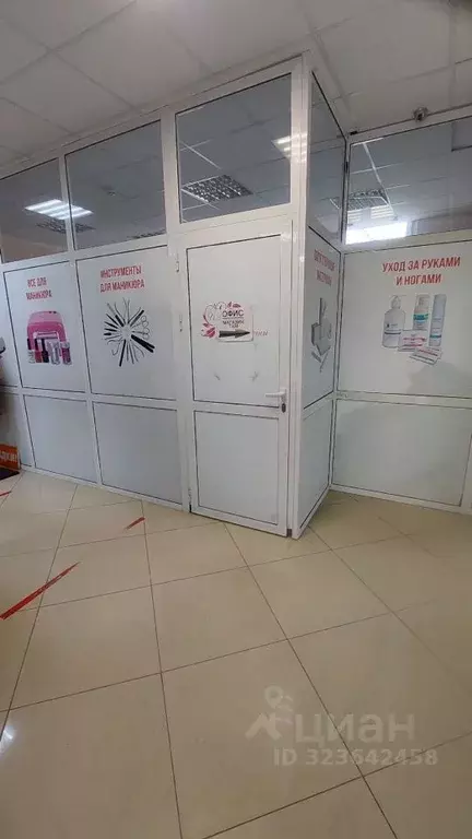 Торговая площадь в Владимирская область, Владимир Добросельская ул., ... - Фото 1