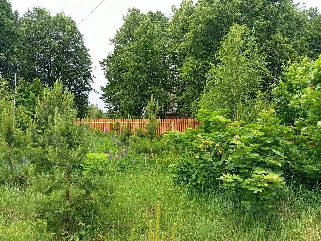 Участок в Владимирская область, Киржачский муниципальный округ, ... - Фото 1