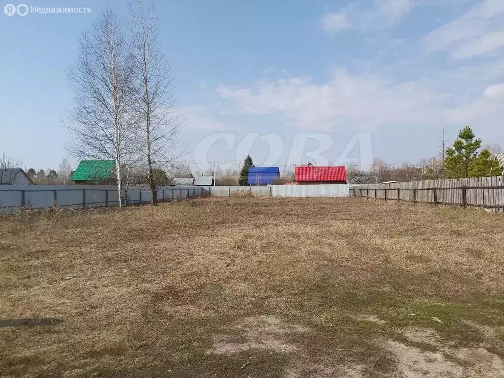 Участок в Тюменская область, Исетский муниципальный округ, село ... - Фото 2