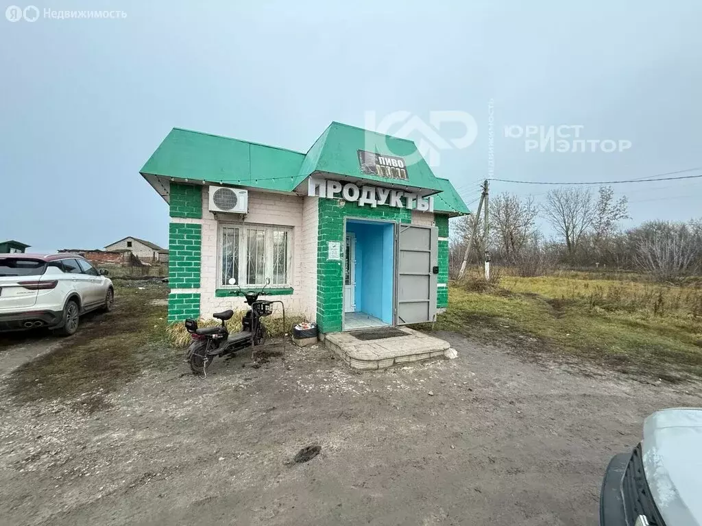 Помещение свободного назначения (36.5 м) - Фото 1