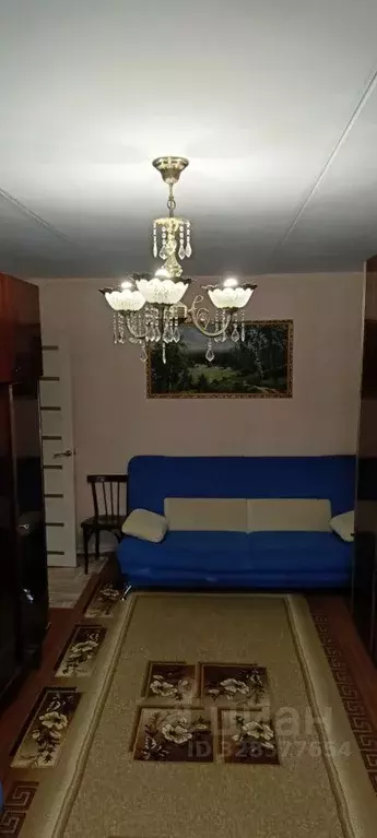 2-к кв. Нижегородская область, Нижний Новгород ул. Раевского, 3 (48.0 ... - Фото 2