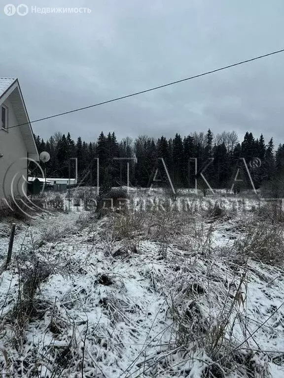 Участок в Выборгский район, посёлок Селезнёво (25 м) - Фото 2