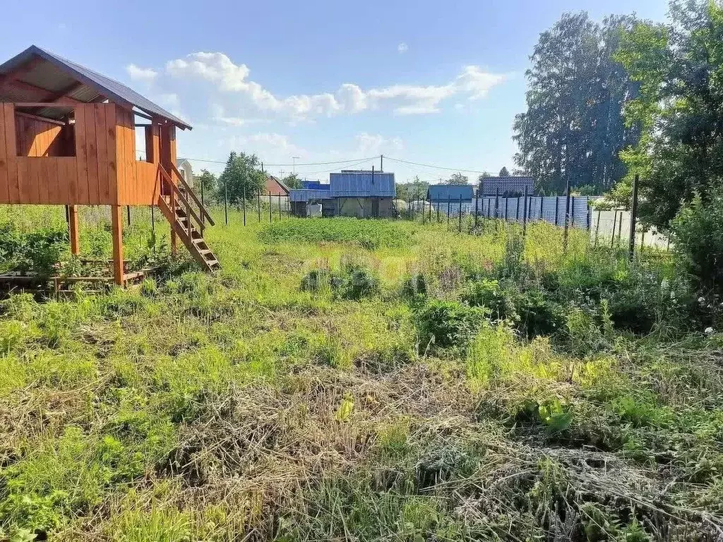 Участок в Новосибирская область, Новосибирский район, Барышевский ... - Фото 0