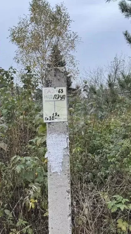 Дом в Калужская область, Малоярославецкий муниципальный округ, Детчино ... - Фото 2