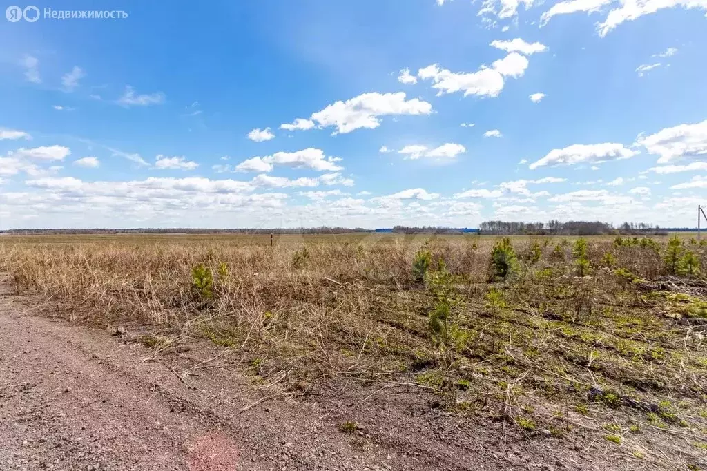 Участок в Тюменский муниципальный округ, село Успенка (11.8 м) - Фото 1