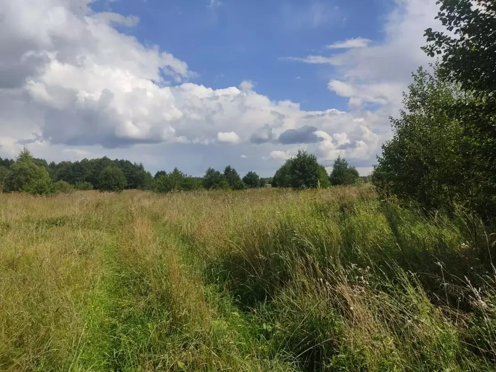 Участок в Московская область, Орехово-Зуевский городской округ, с. ... - Фото 1