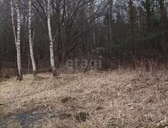 Участок в Псковская область, Псковский муниципальный округ, ... - Фото 1