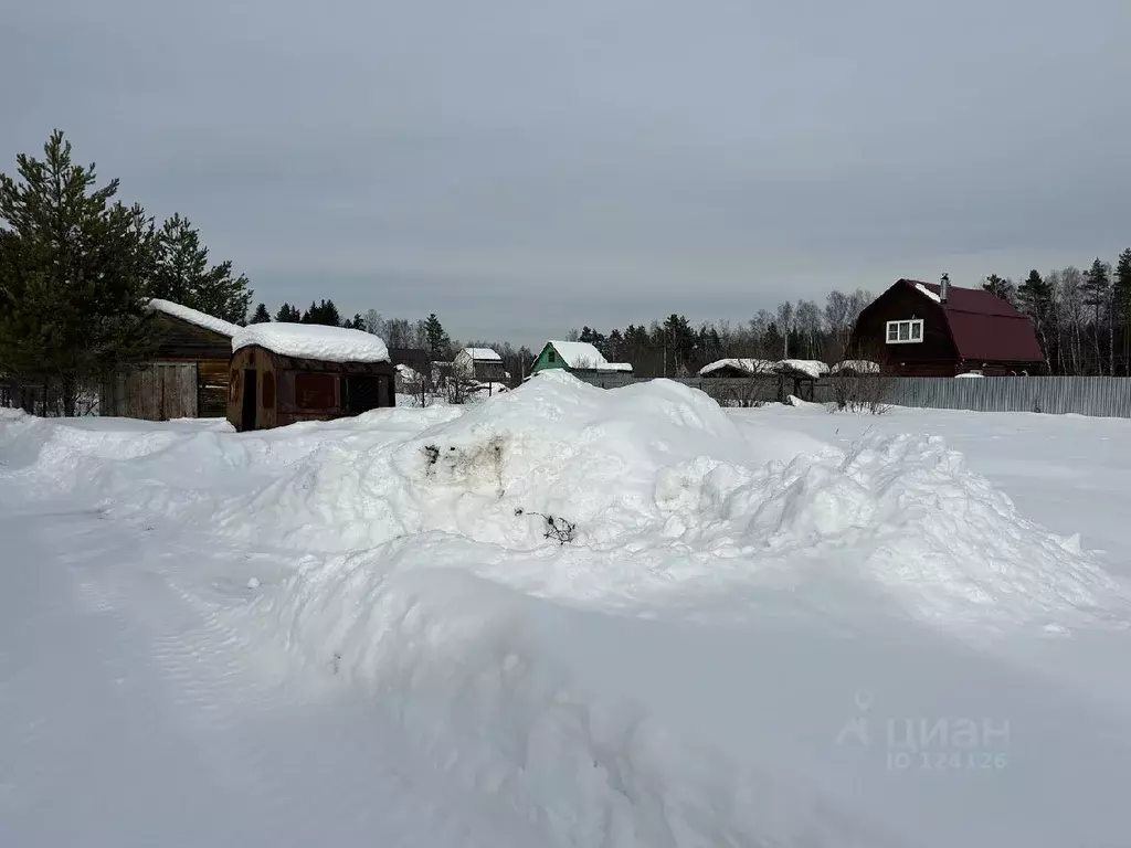 Участок в Владимирская область, Александровский район, Каринское ... - Фото 0