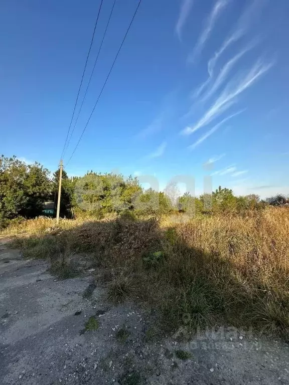 Участок в Брянская область, Жирятинское с/пос, д. Старое Каплино  (5.4 ... - Фото 1