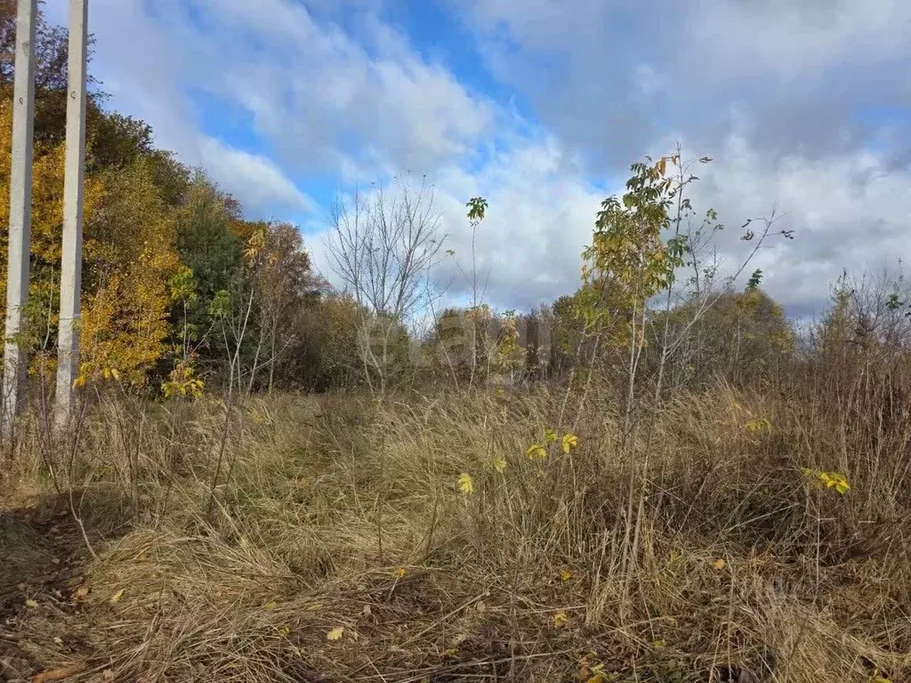 Участок в Курская область, Курский район, Рышковский сельсовет, ... - Фото 1