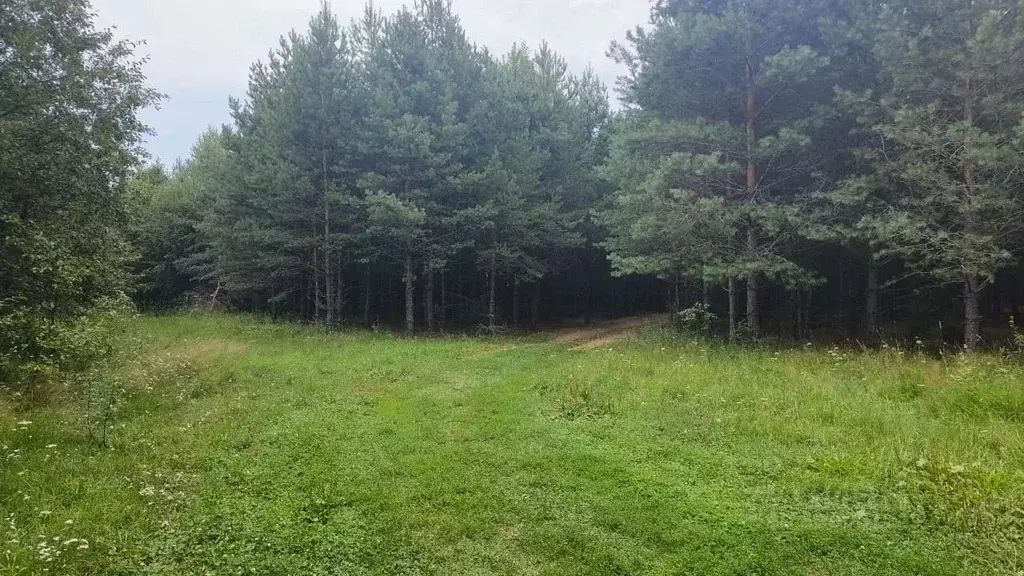 Участок в Тверская область, Калязинский муниципальный округ, д. ... - Фото 2