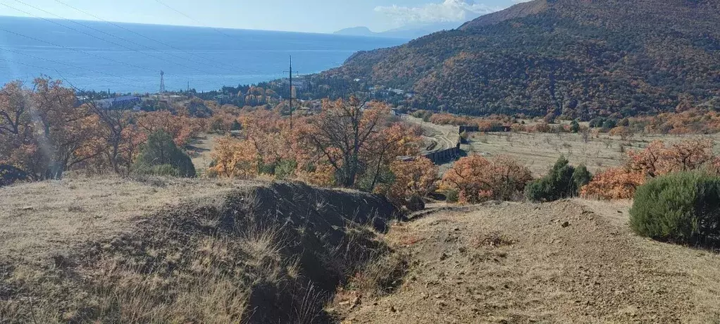 Участок в Крым, Алушта муниципальный округ, с. Приветное ул. Горького, ... - Фото 1