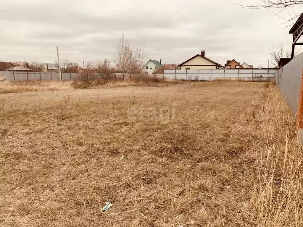 Участок в Воронежская область, Новоусманский район, с. Бабяково ... - Фото 0